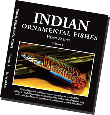 Indian Ornamental Fishes